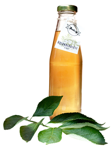 holunderblütensirup